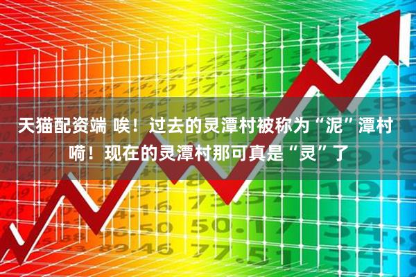 天猫配资端 唉！过去的灵潭村被称为“泥”潭村 嗬！现在的灵潭村那可真是“灵”了