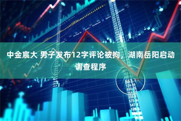 中金宸大 男子发布12字评论被拘，湖南岳阳启动调查程序