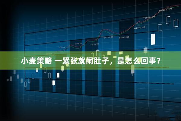 小麦策略 一紧张就闹肚子，是怎么回事？