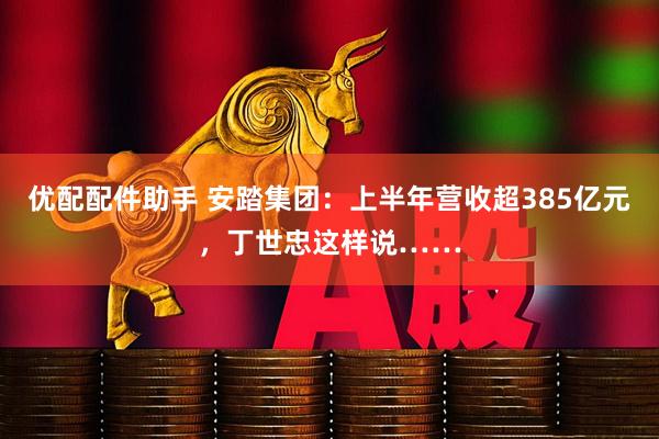 优配配件助手 安踏集团：上半年营收超385亿元，丁世忠这样说……