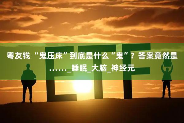 粤友钱 “鬼压床”到底是什么“鬼”？答案竟然是……_睡眠_大脑_神经元