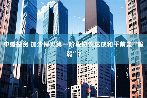 中盛投资 加沙停火第一阶段协议达成　和平前景“脆弱”？
