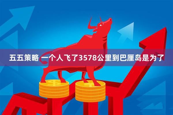 五五策略 一个人飞了3578公里到巴厘岛是为了